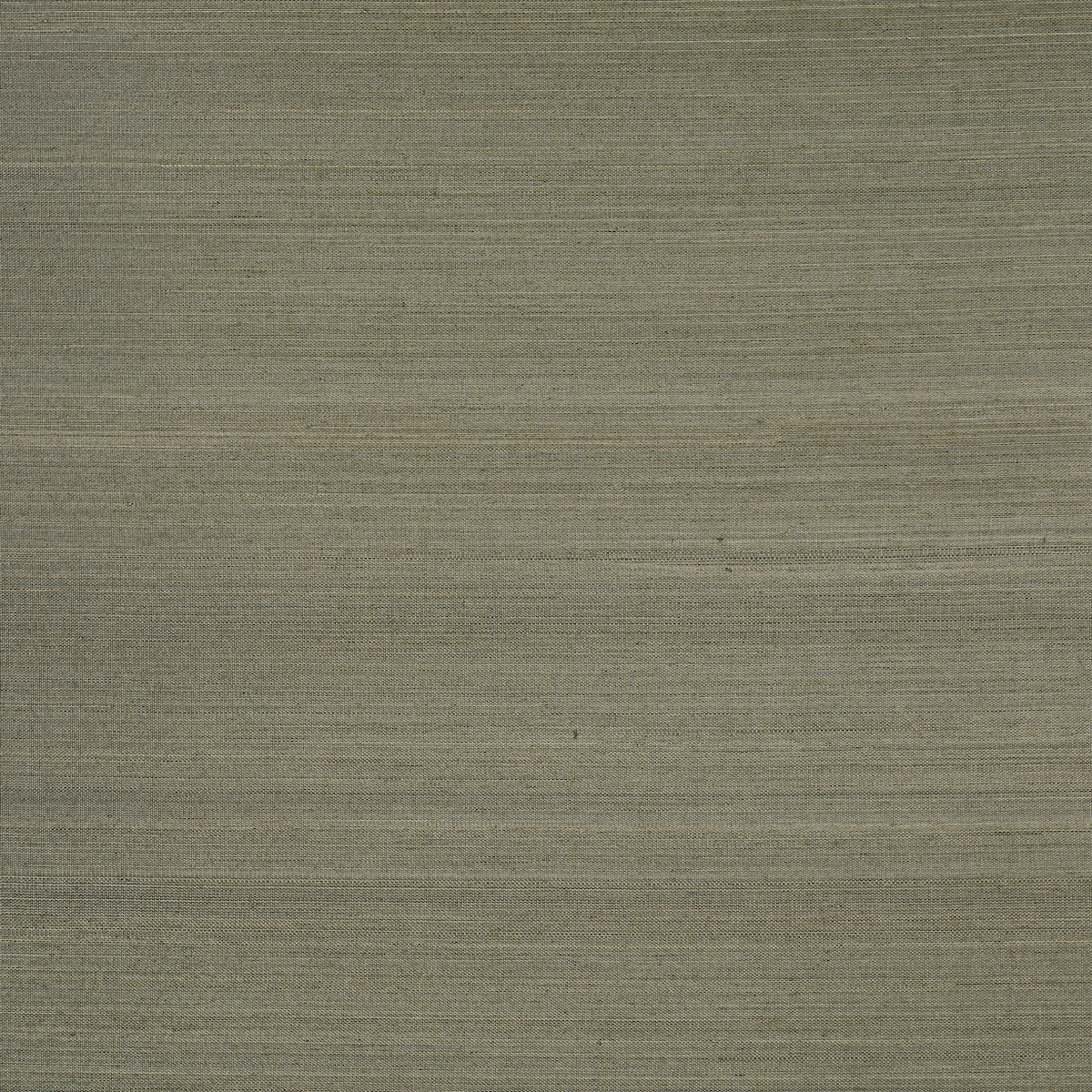 EUCALYPTUS