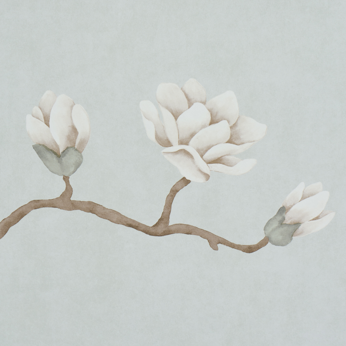 Magnolia Tree gallery 2