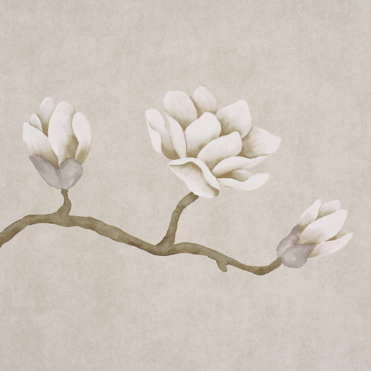 Magnolia Tree gallery 2