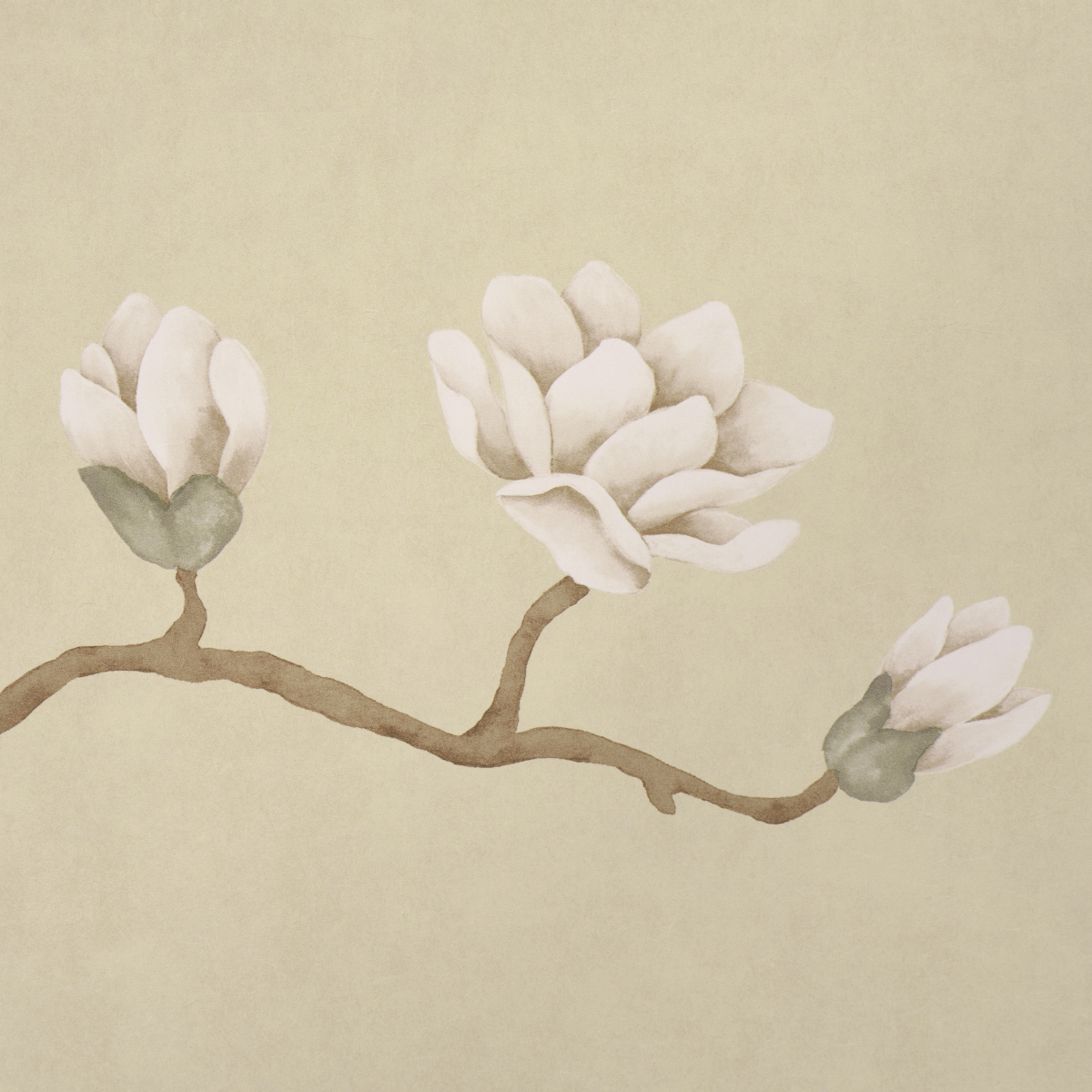 Magnolia Tree gallery 2