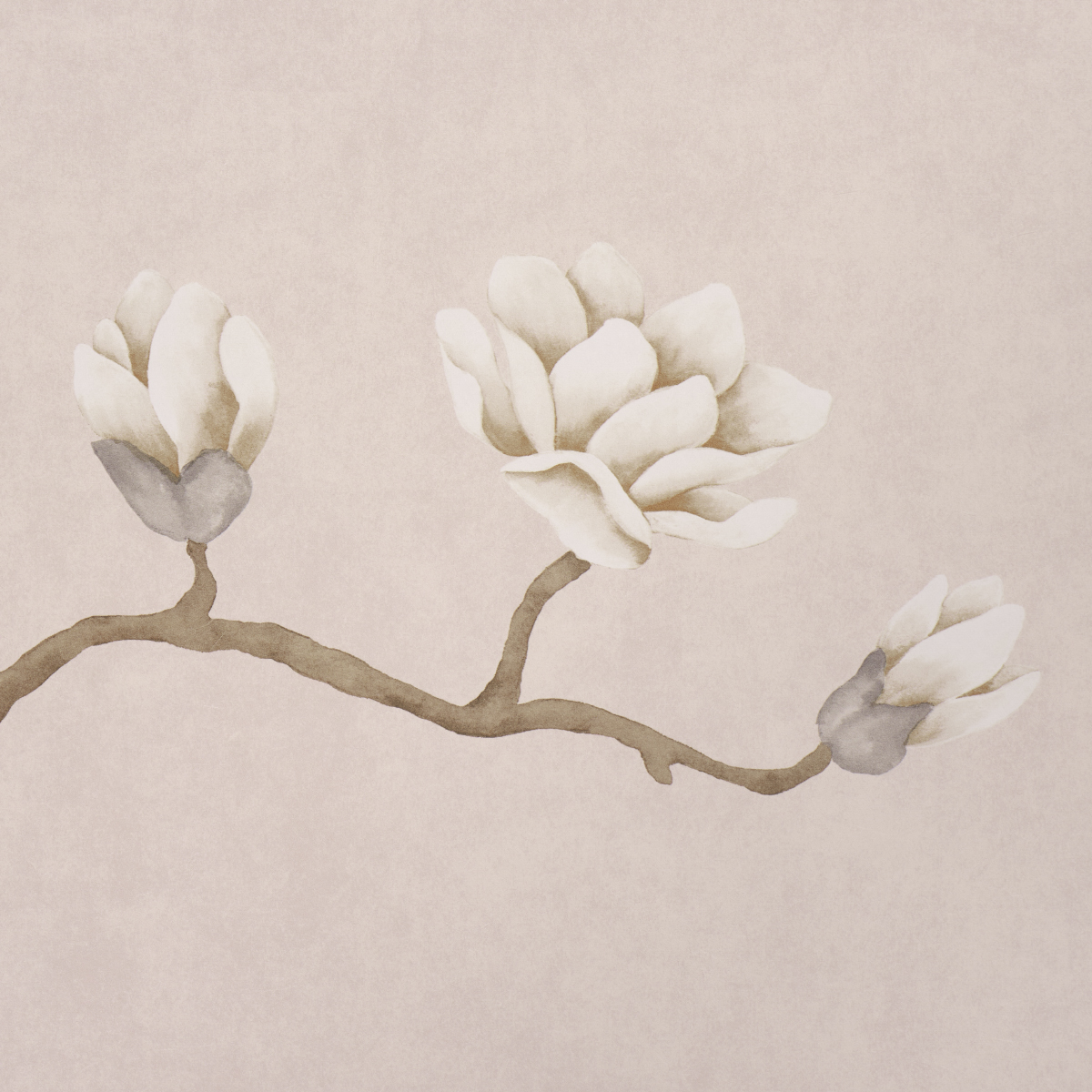 Magnolia Tree gallery 2