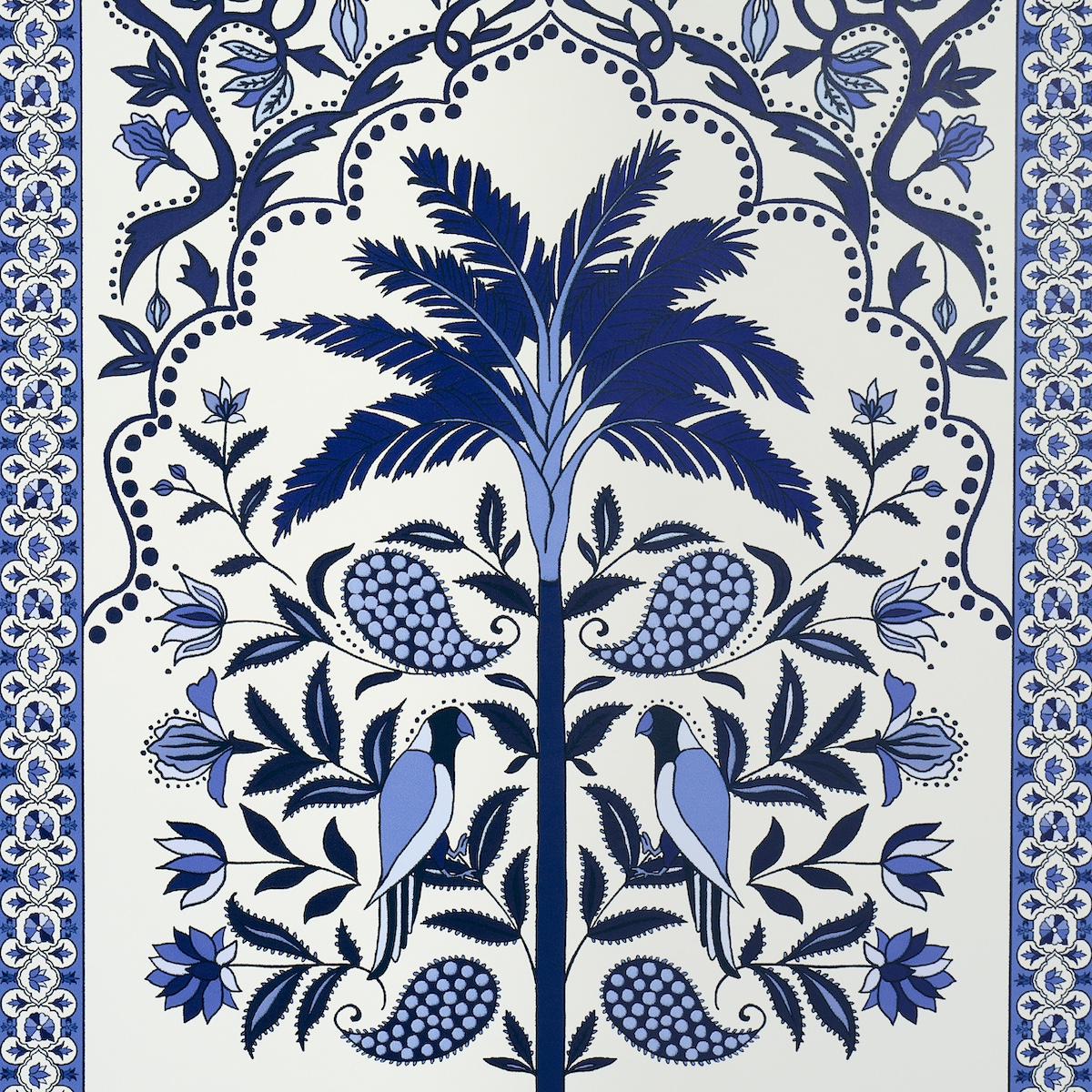 Amazonas Mystique gallery 2