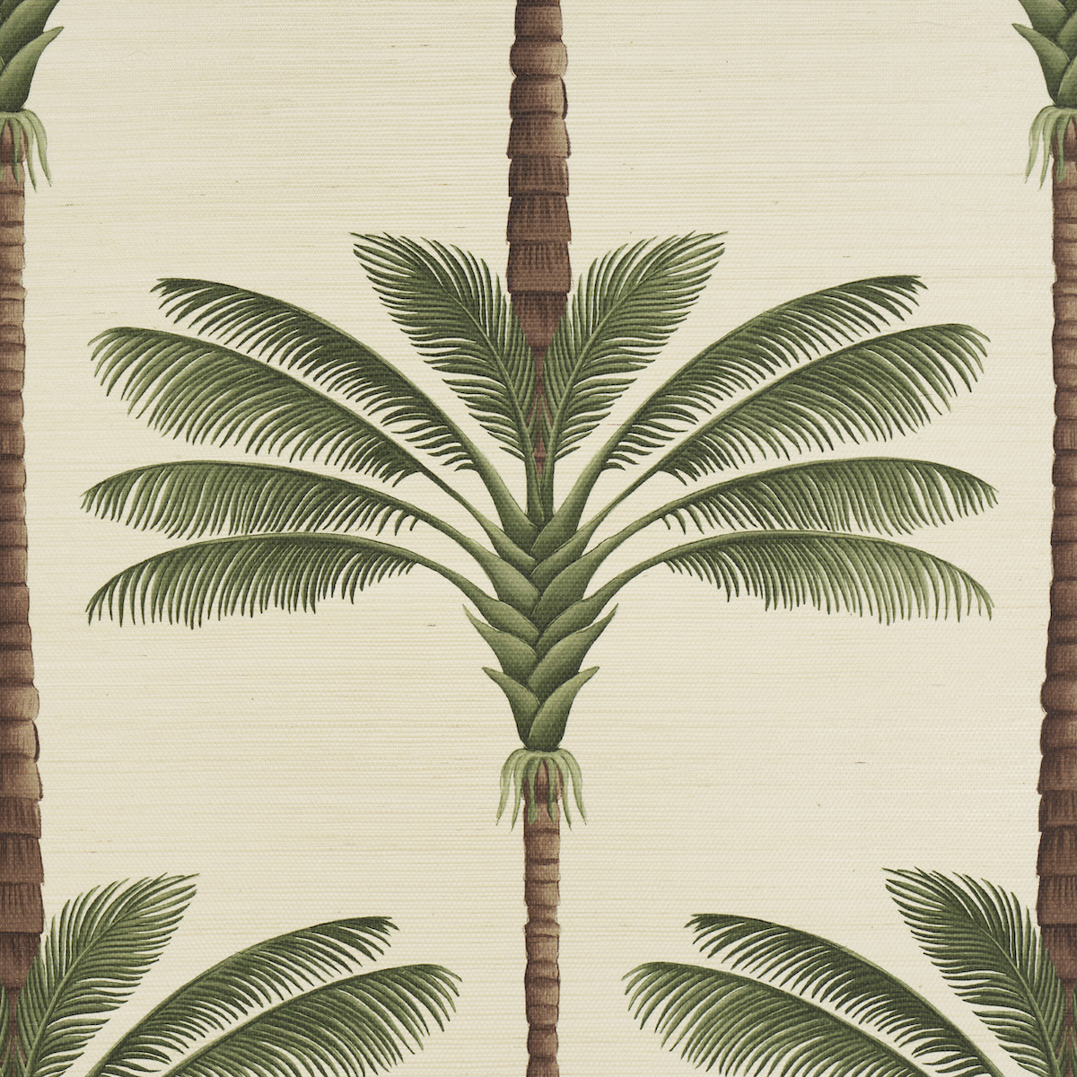 A Palm Is A Palm Sisal gallery 2