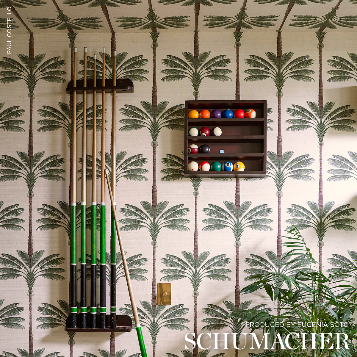 A Palm Is A Palm Sisal gallery 4