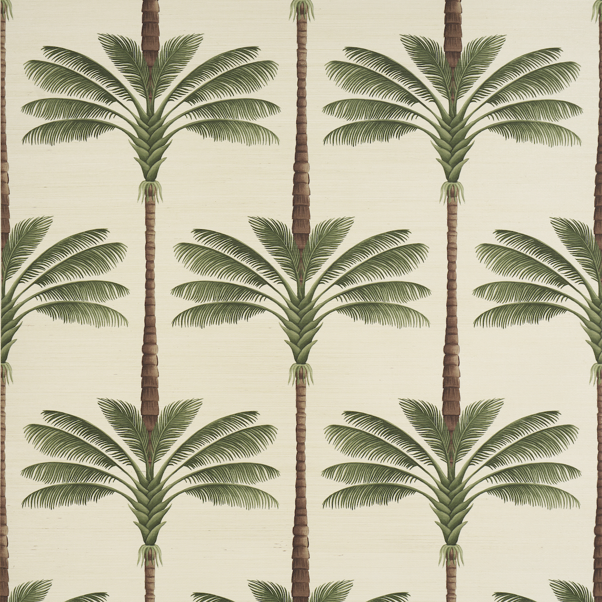 A Palm Is A Palm Sisal — DAYLIGHT EVERGREEN