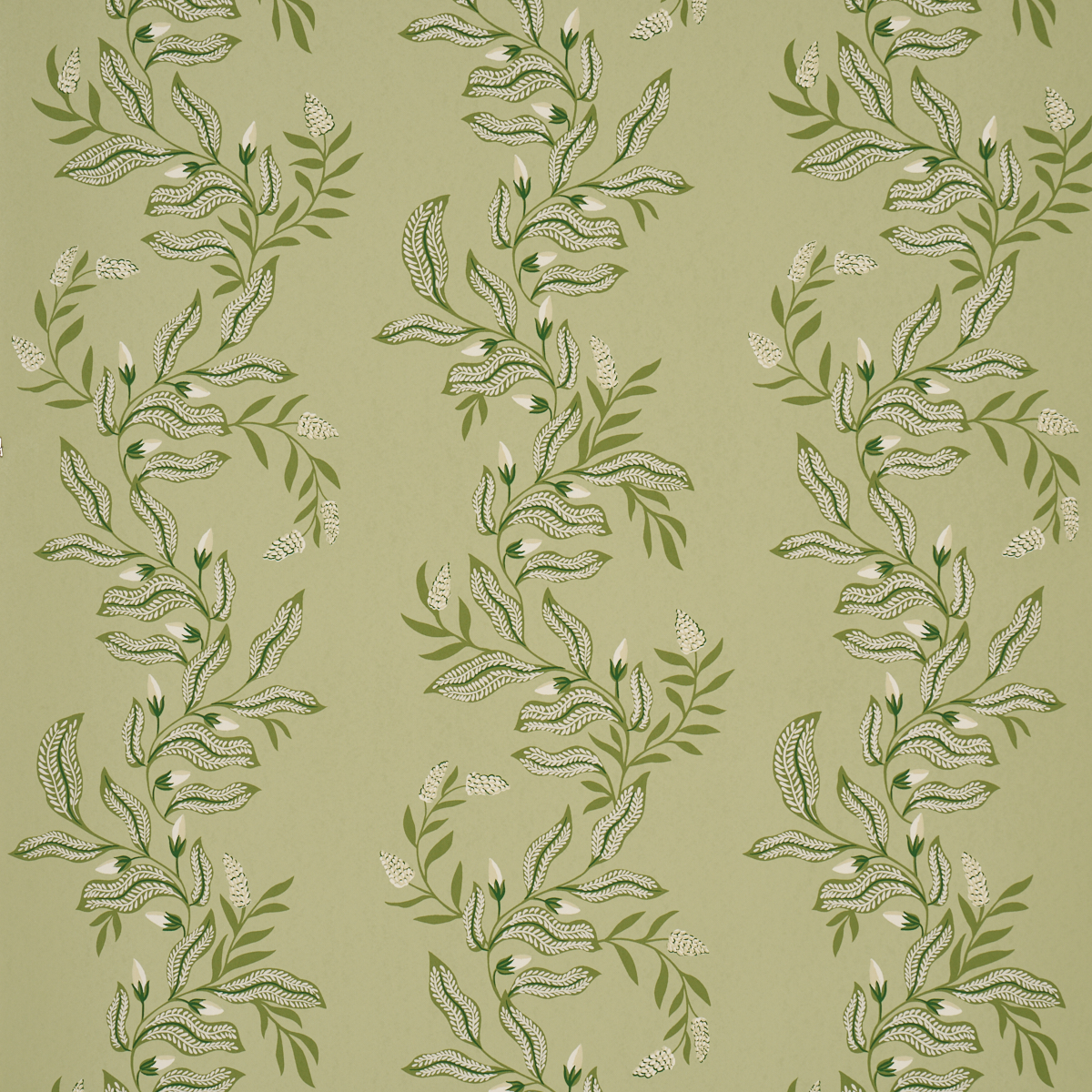 Vagary Vines — HONEYDEW