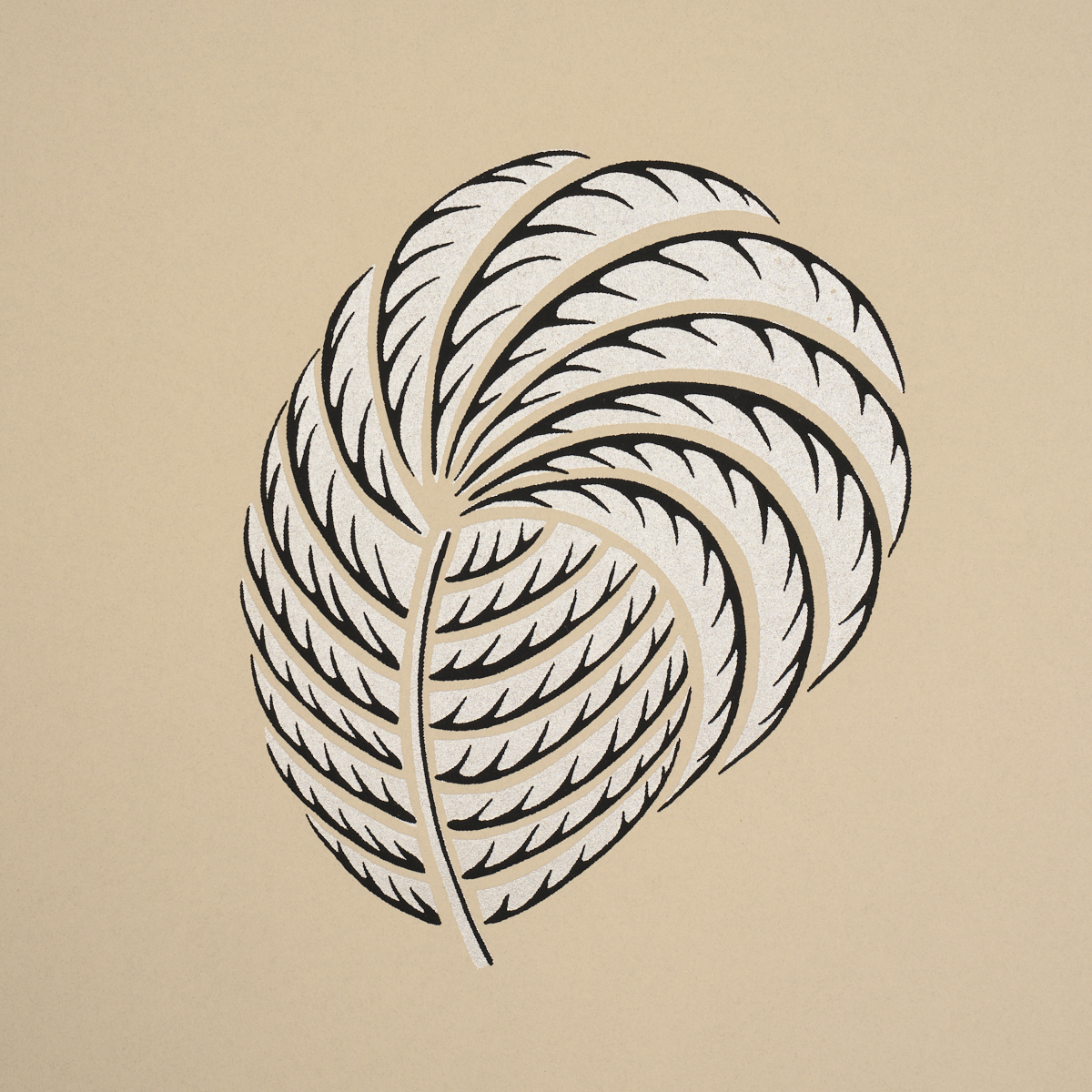 Royal Plume gallery 2