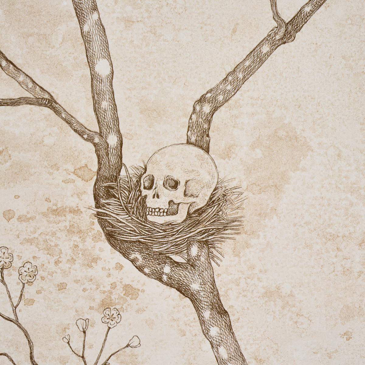 L’attesa Nella Notte gallery 3