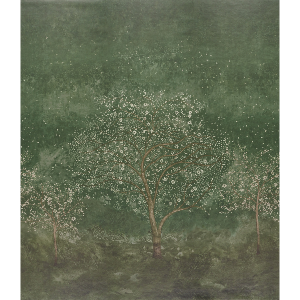 CYPRESS
