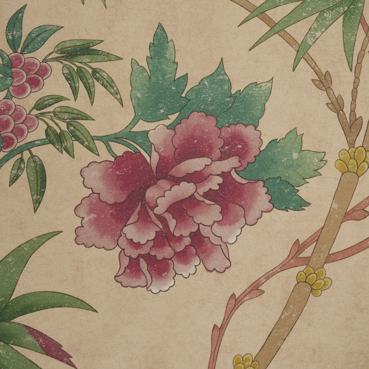 Arasi Botanical gallery 2