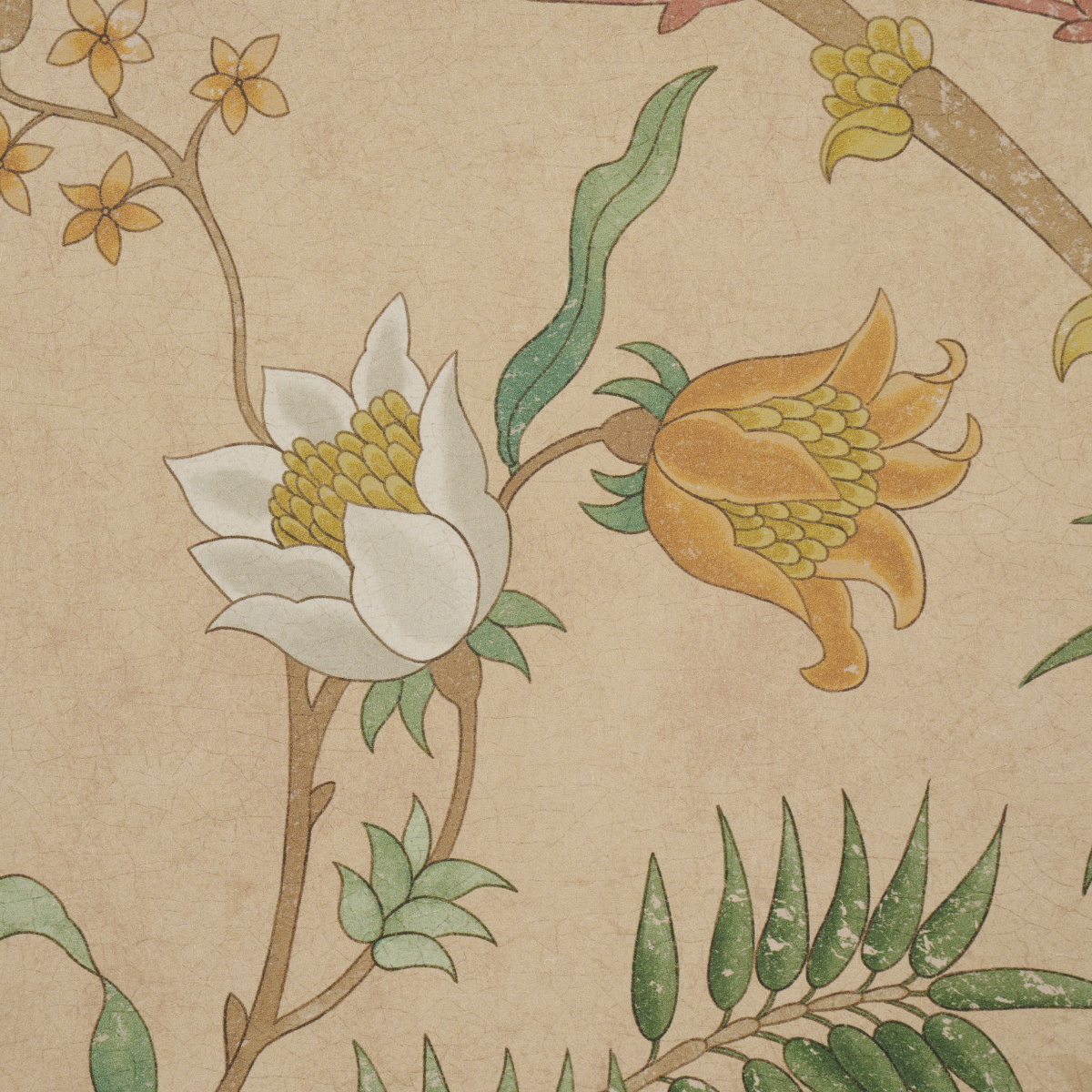 Arasi Botanical gallery 3