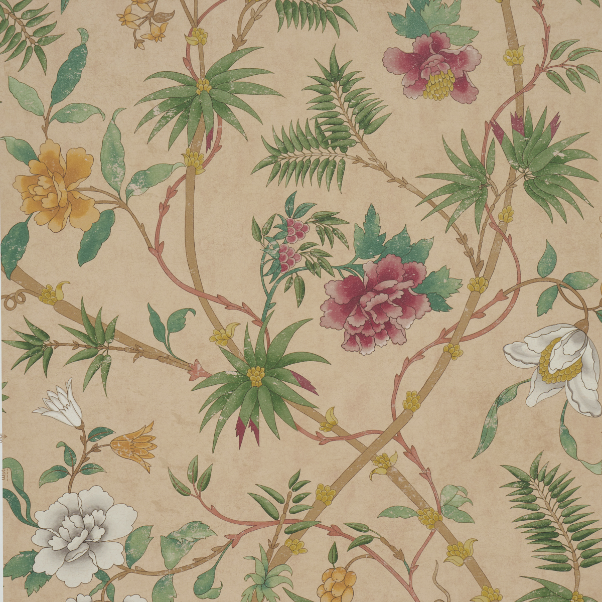 CORAL