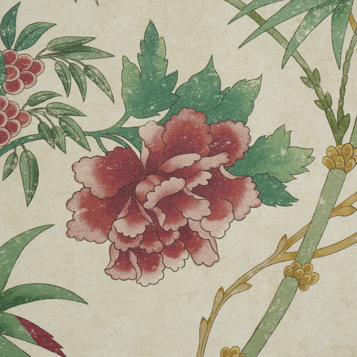 Arasi Botanical gallery 2