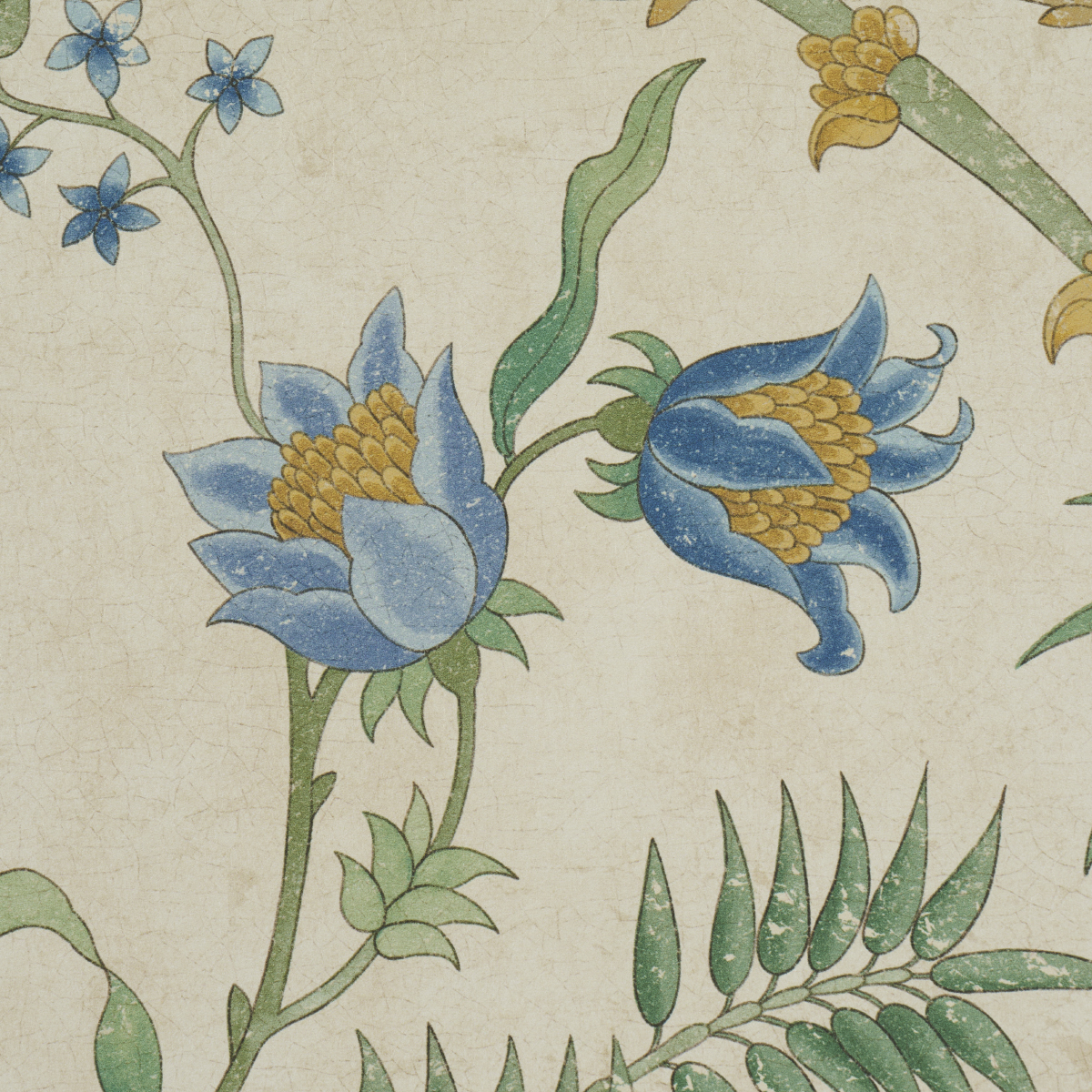 Arasi Botanical gallery 3