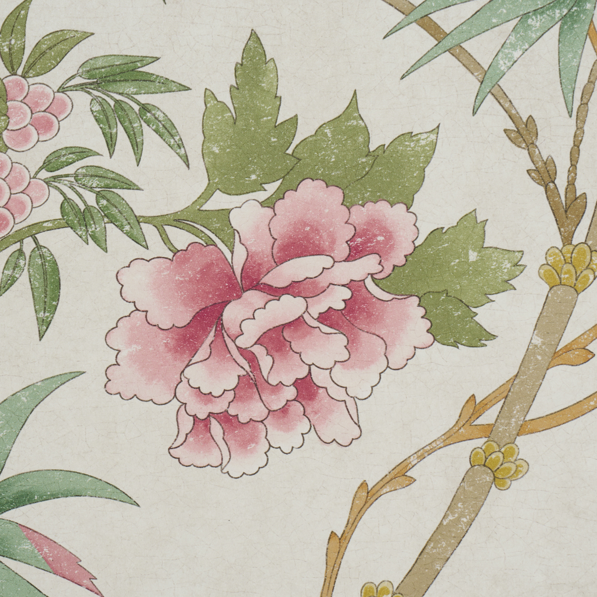 Arasi Botanical gallery 2