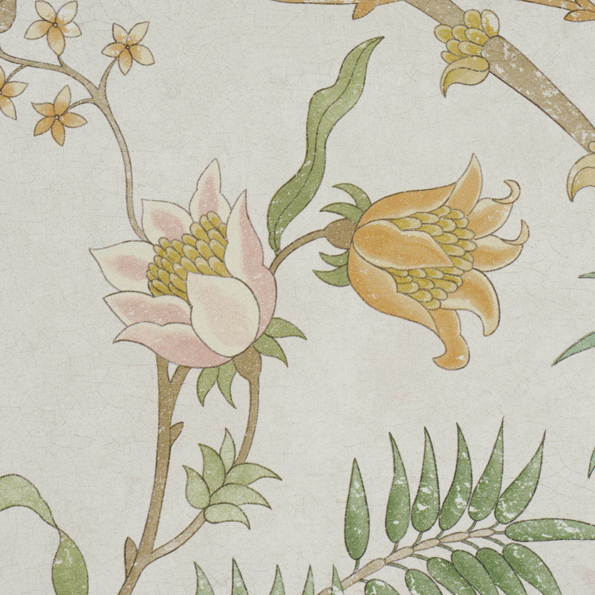 Arasi Botanical gallery 3