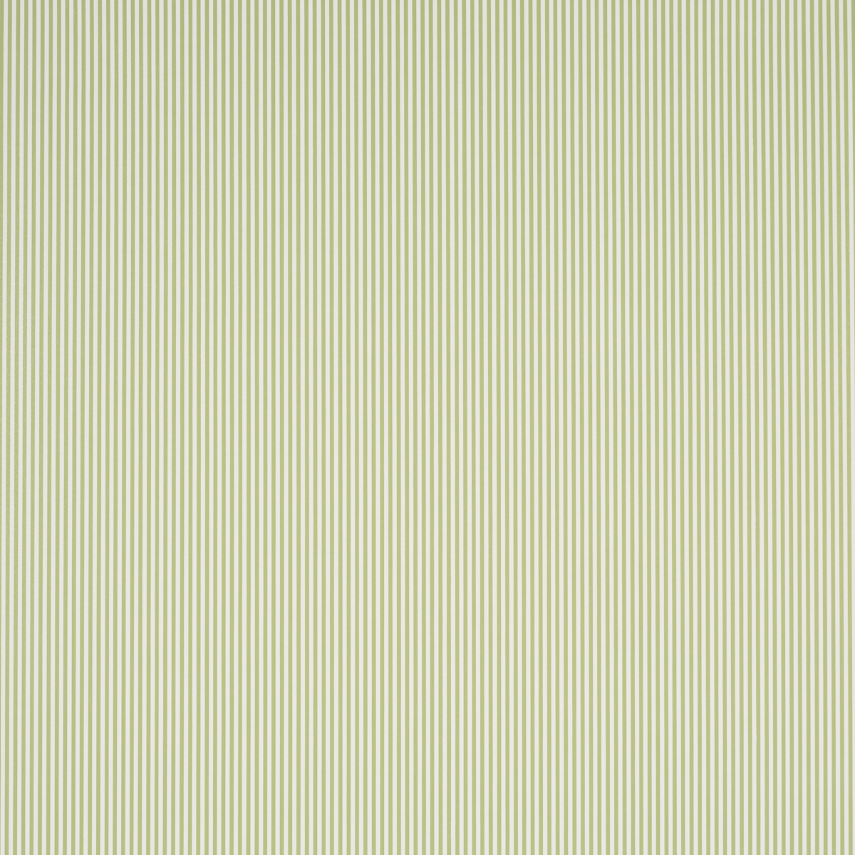Emma Stripe Narrow gallery 1