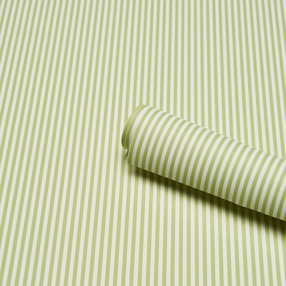Emma Stripe Narrow gallery 2