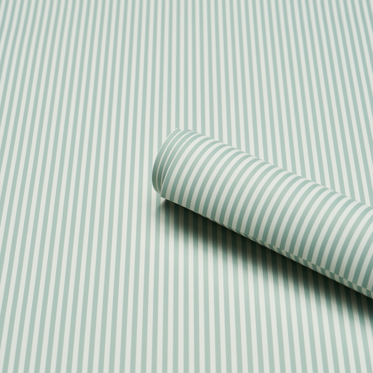 Emma Stripe Narrow gallery 2