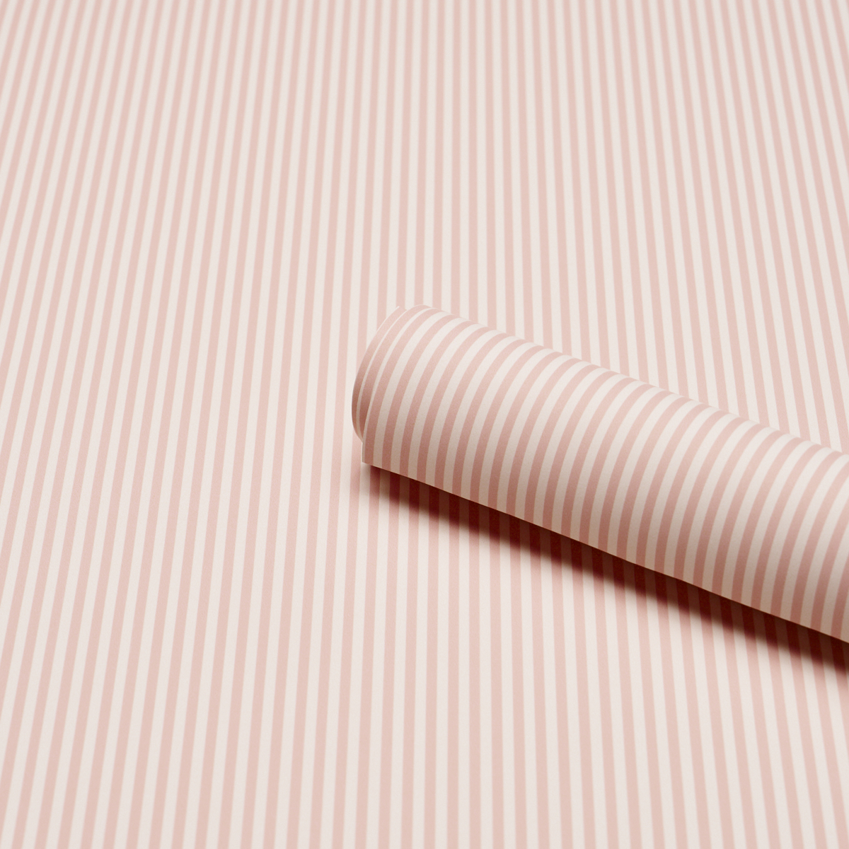 Emma Stripe Narrow gallery 2
