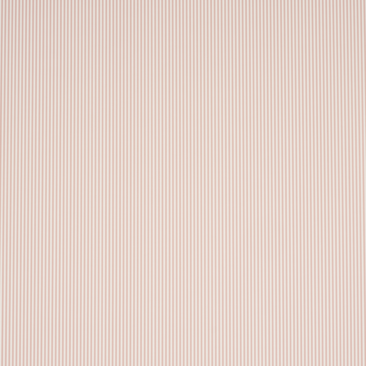 Emma Stripe Narrow gallery 1