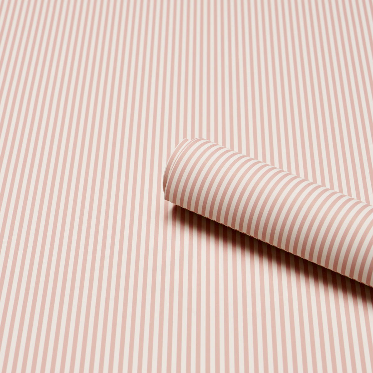 Emma Stripe Narrow gallery 2