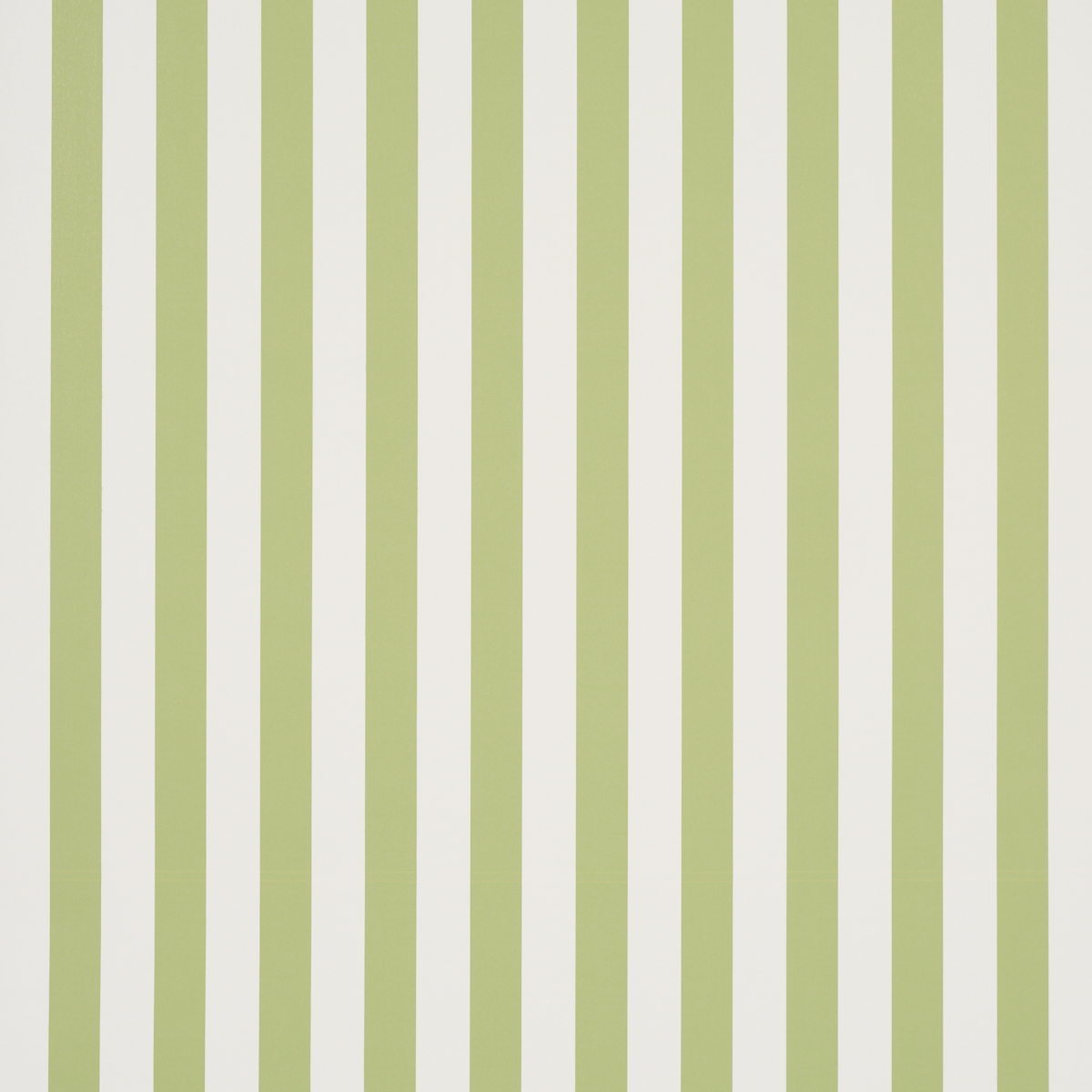 Emma Stripe gallery 1