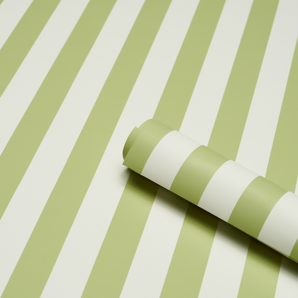 Emma Stripe gallery 2
