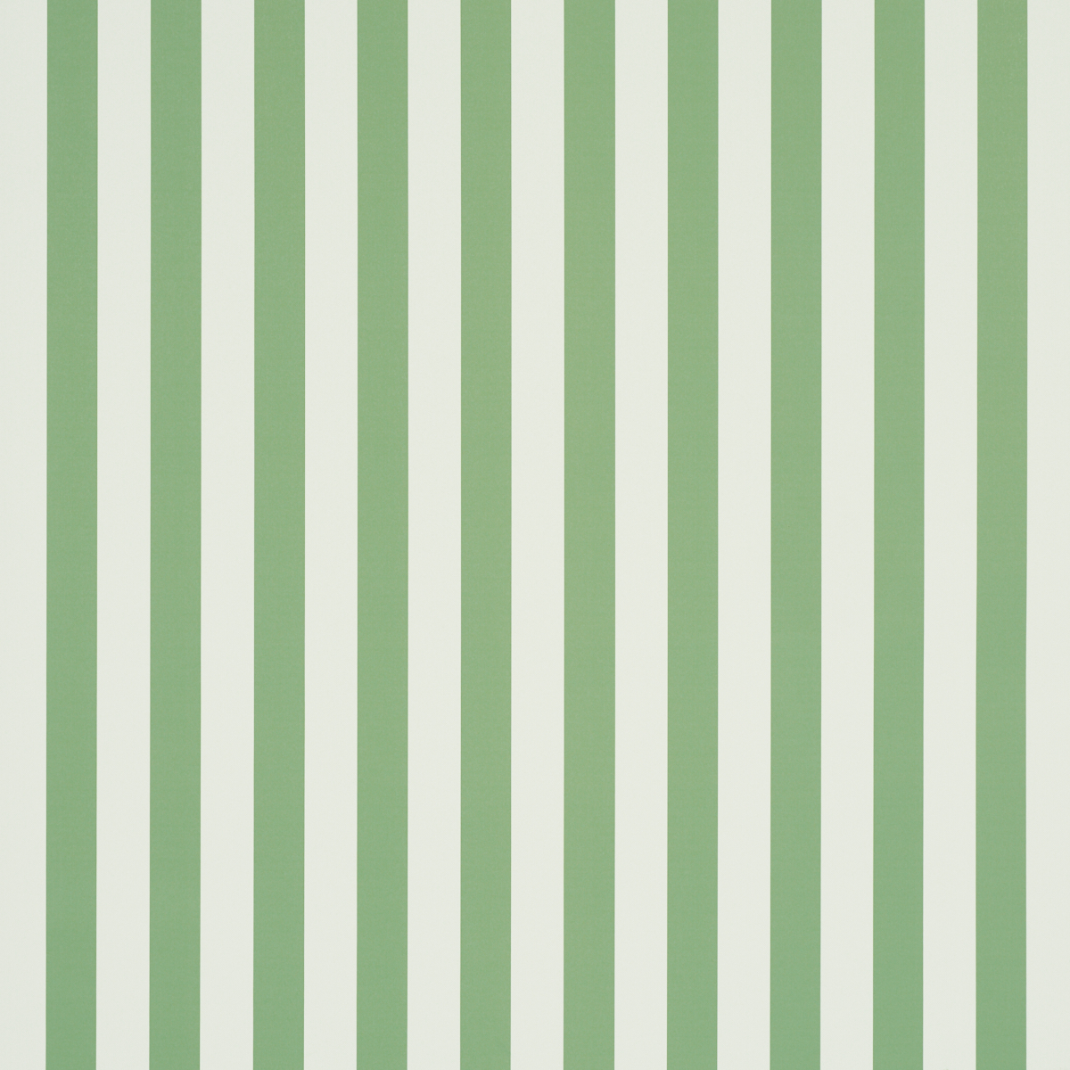 Emma Stripe gallery 1