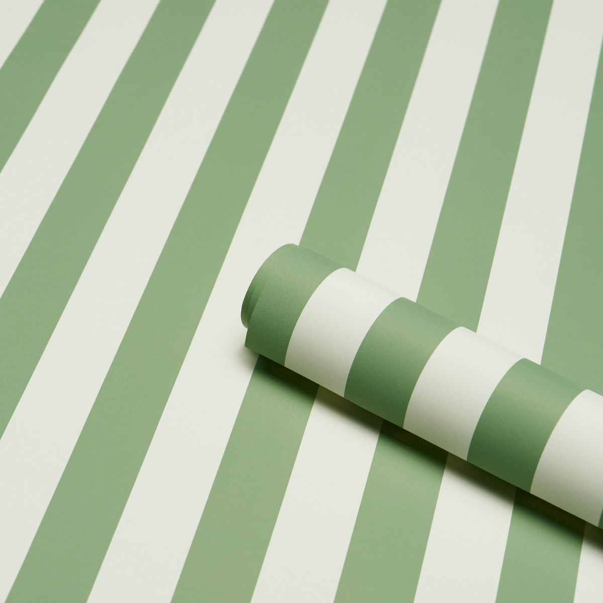 Emma Stripe gallery 2