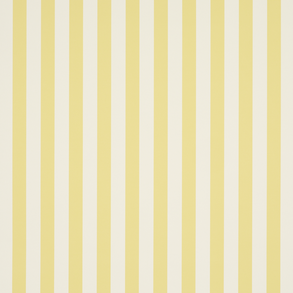 Emma Stripe gallery 1