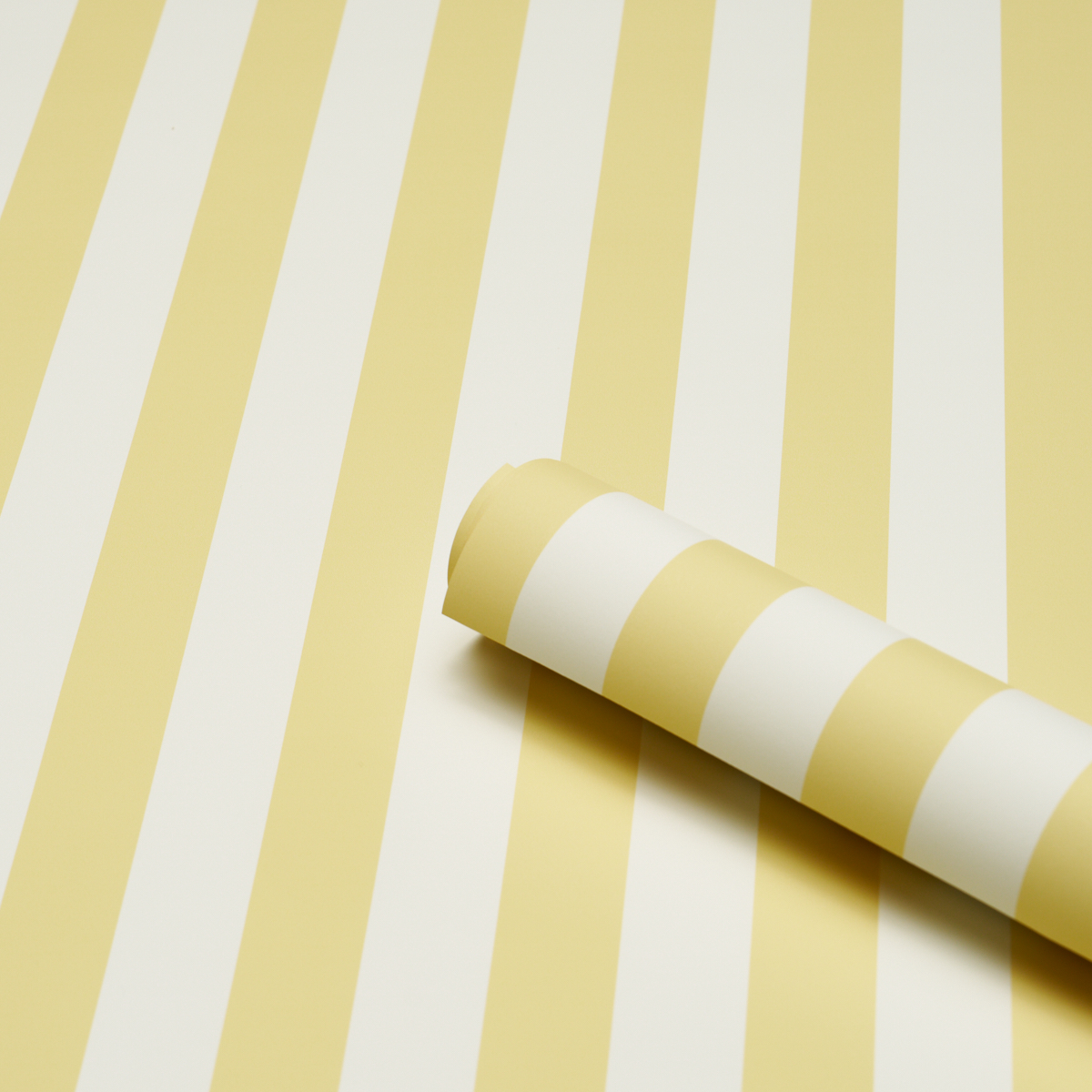 Emma Stripe gallery 2