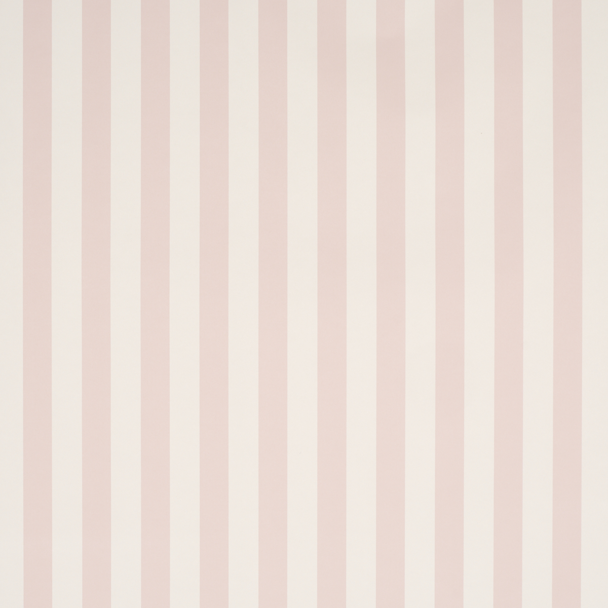 Emma Stripe gallery 1