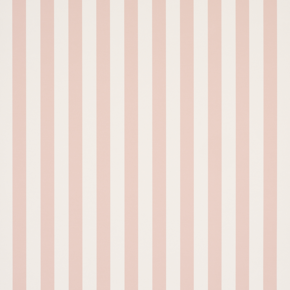 Emma Stripe gallery 1