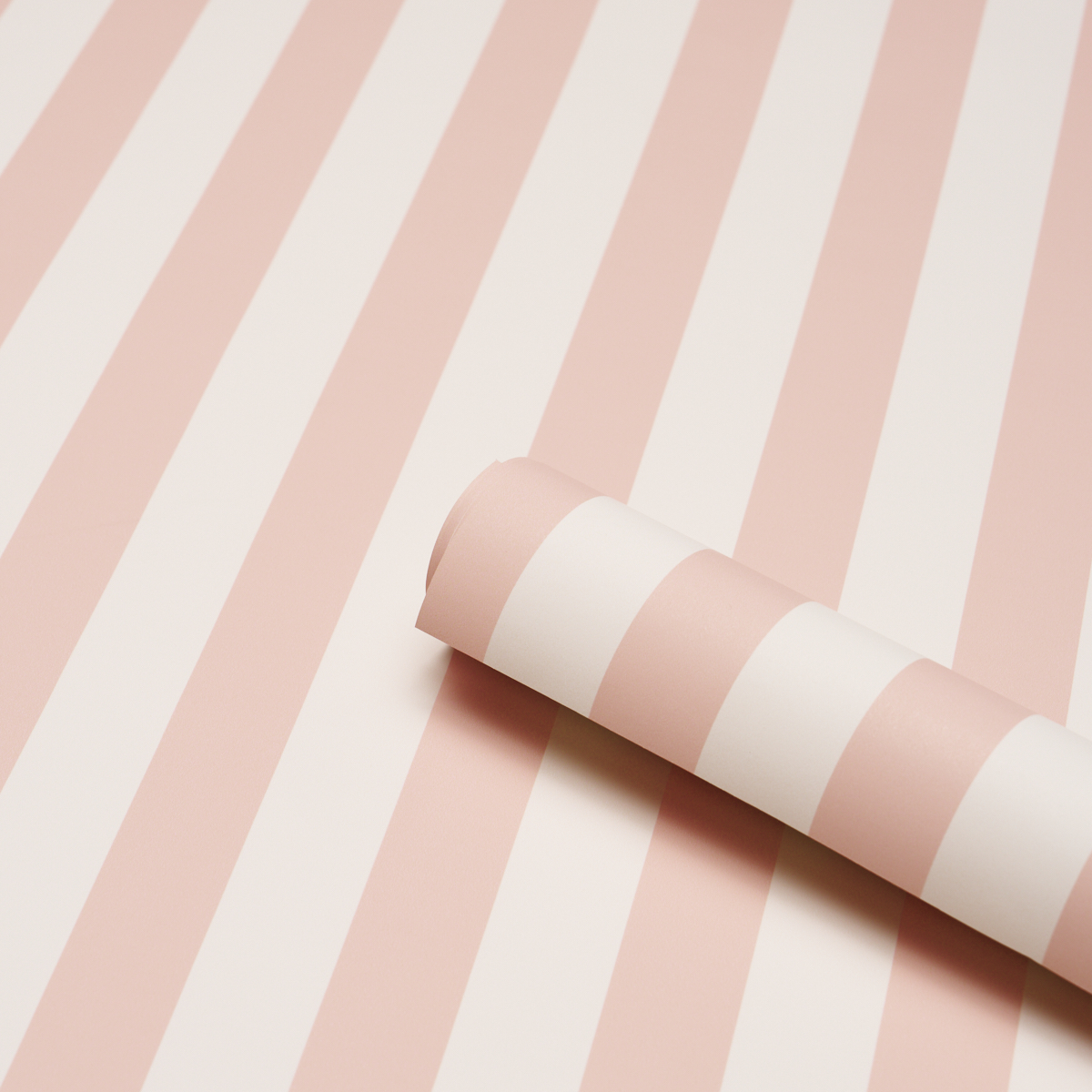 Emma Stripe gallery 2