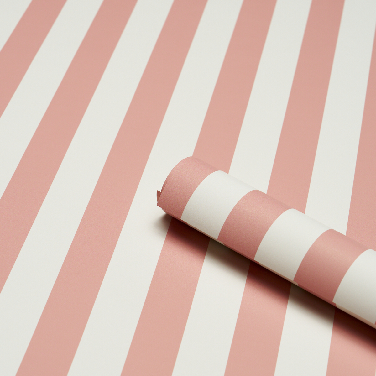 Emma Stripe gallery 2