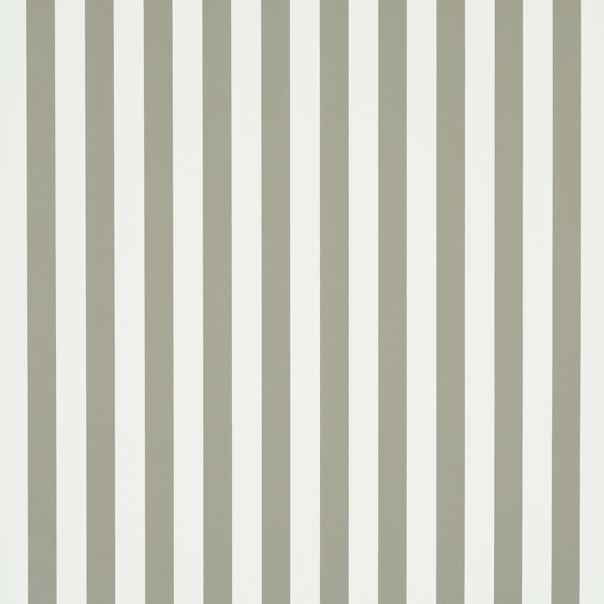 Emma Stripe gallery 1