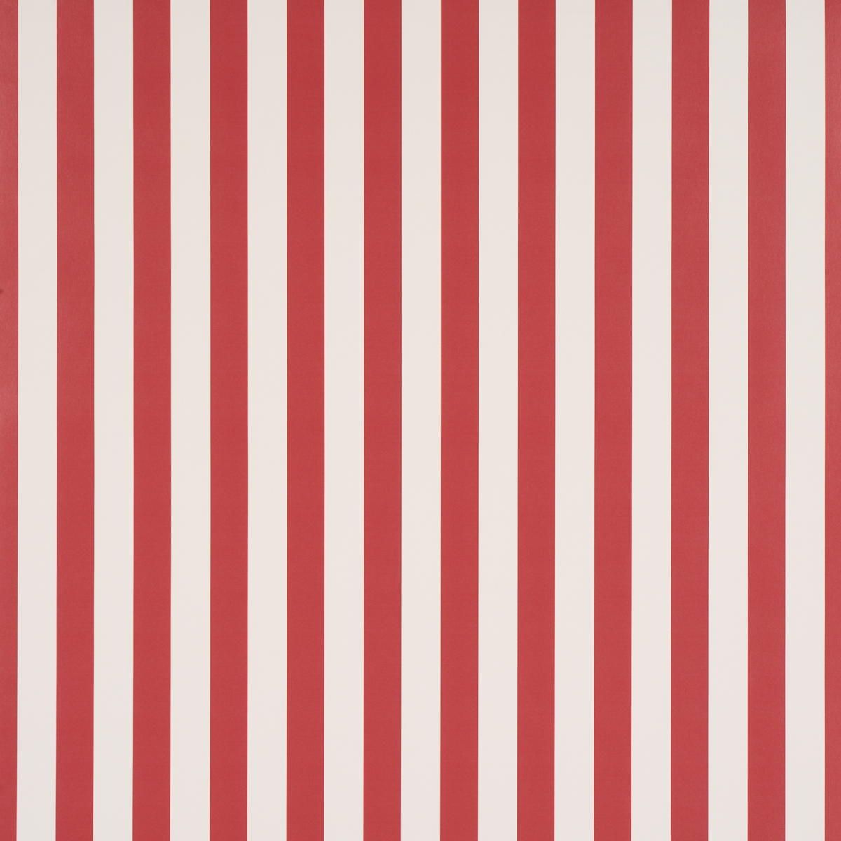 EMMA STRIPE gallery 2