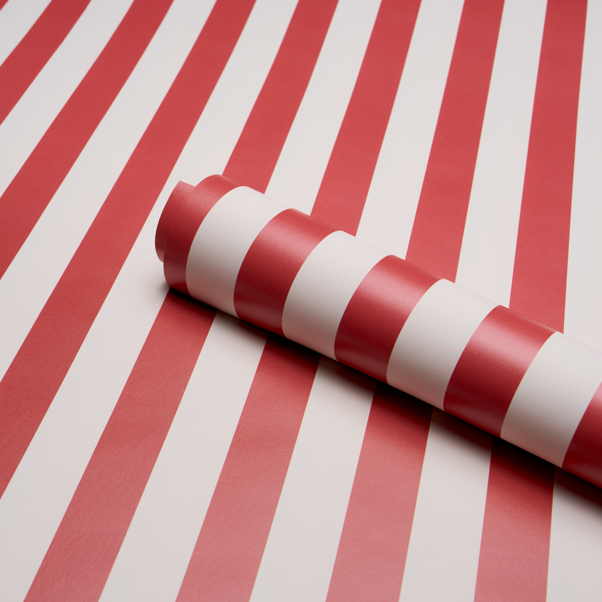 EMMA STRIPE gallery 3