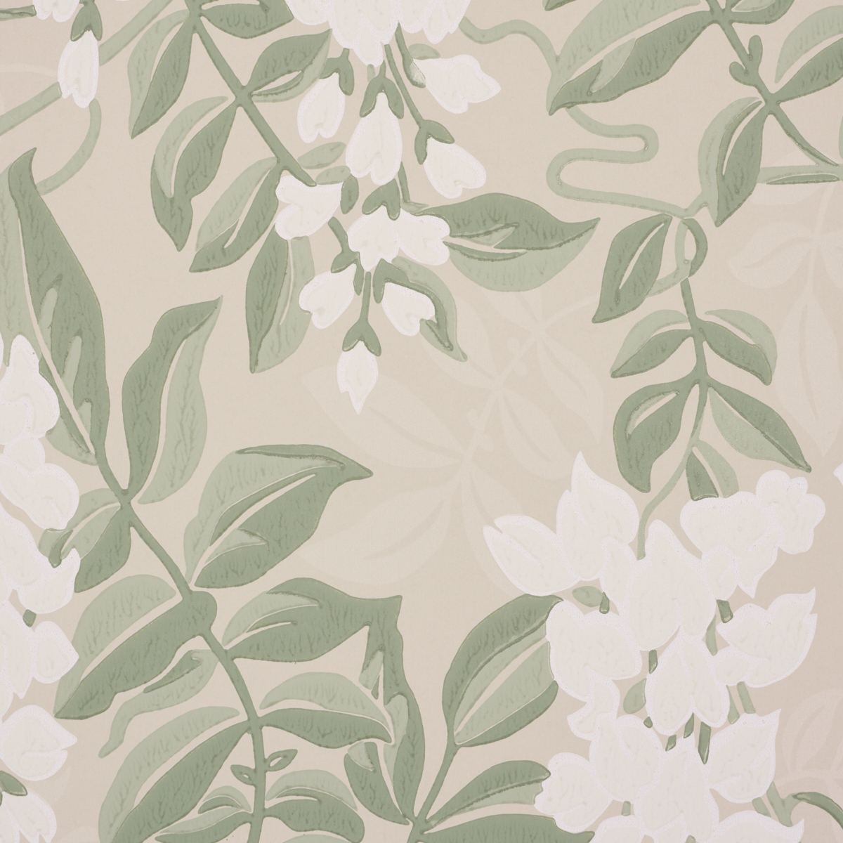 Lucia Wisteria gallery 2
