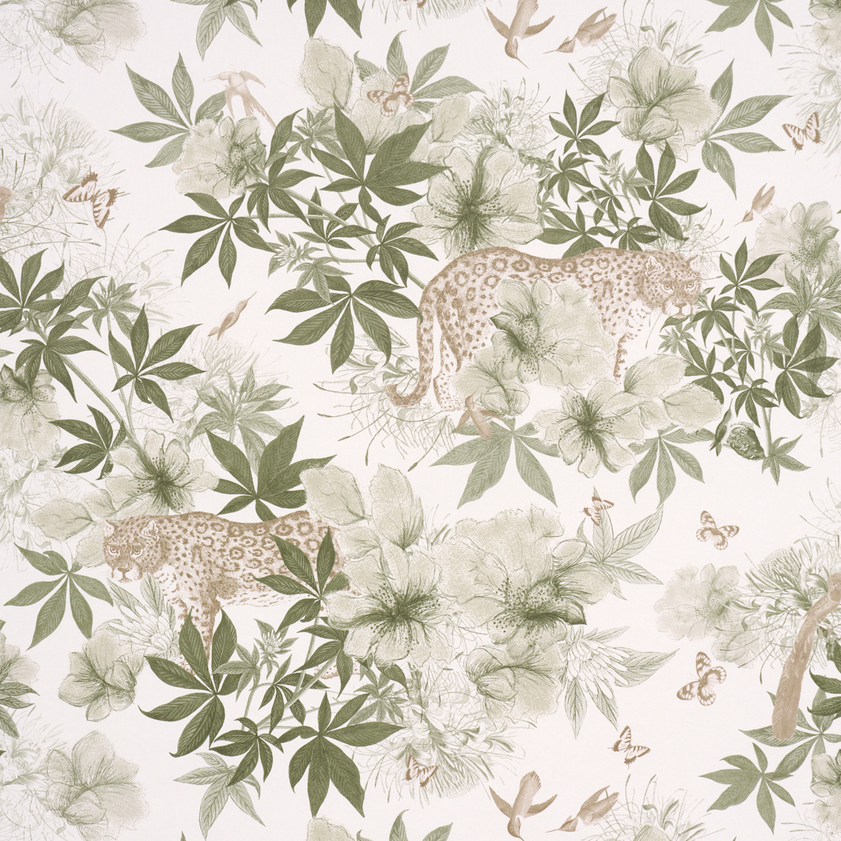 Nocturnum — IVORY & OLIVE