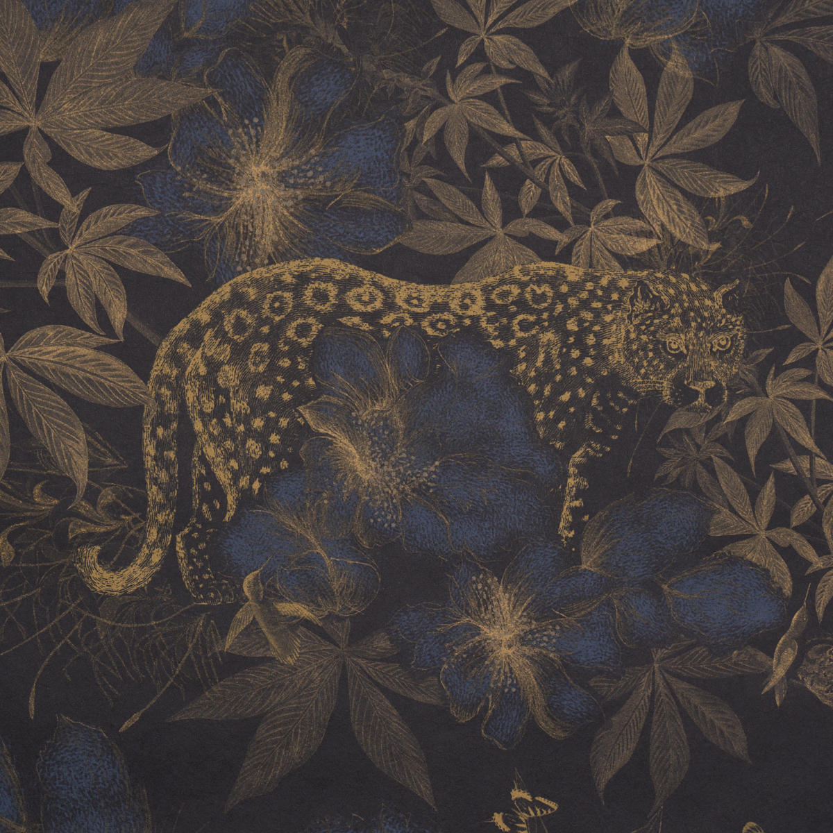 Nocturnum gallery 2