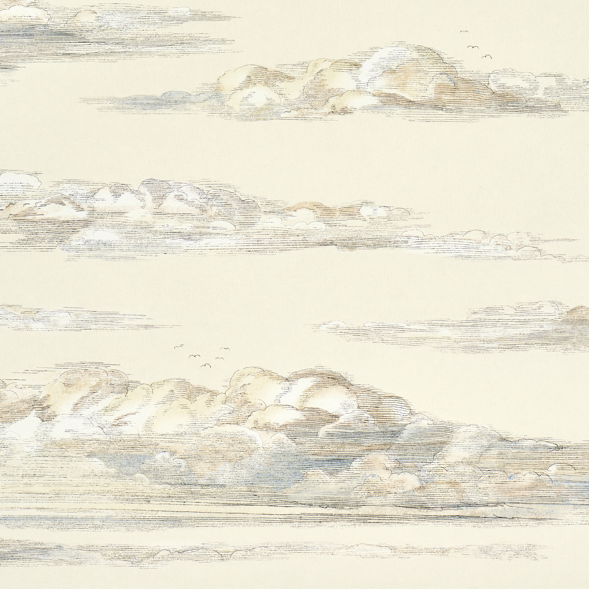 Mr. Darcy's Clouds gallery 2