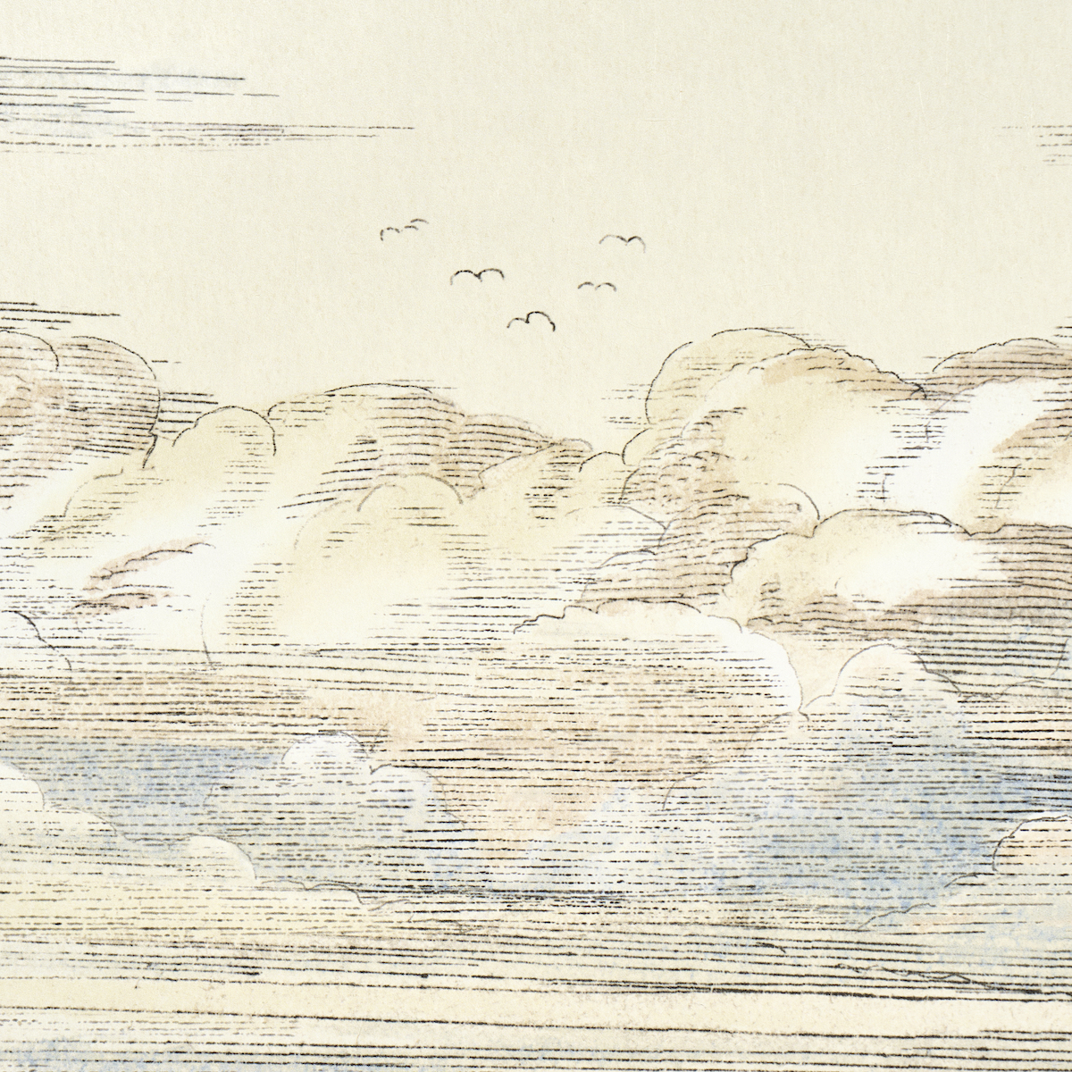 Mr. Darcy's Clouds gallery 3
