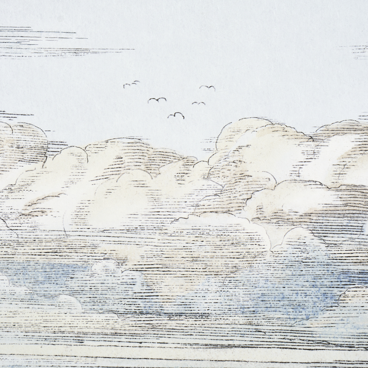 Mr. Darcy's Clouds gallery 3