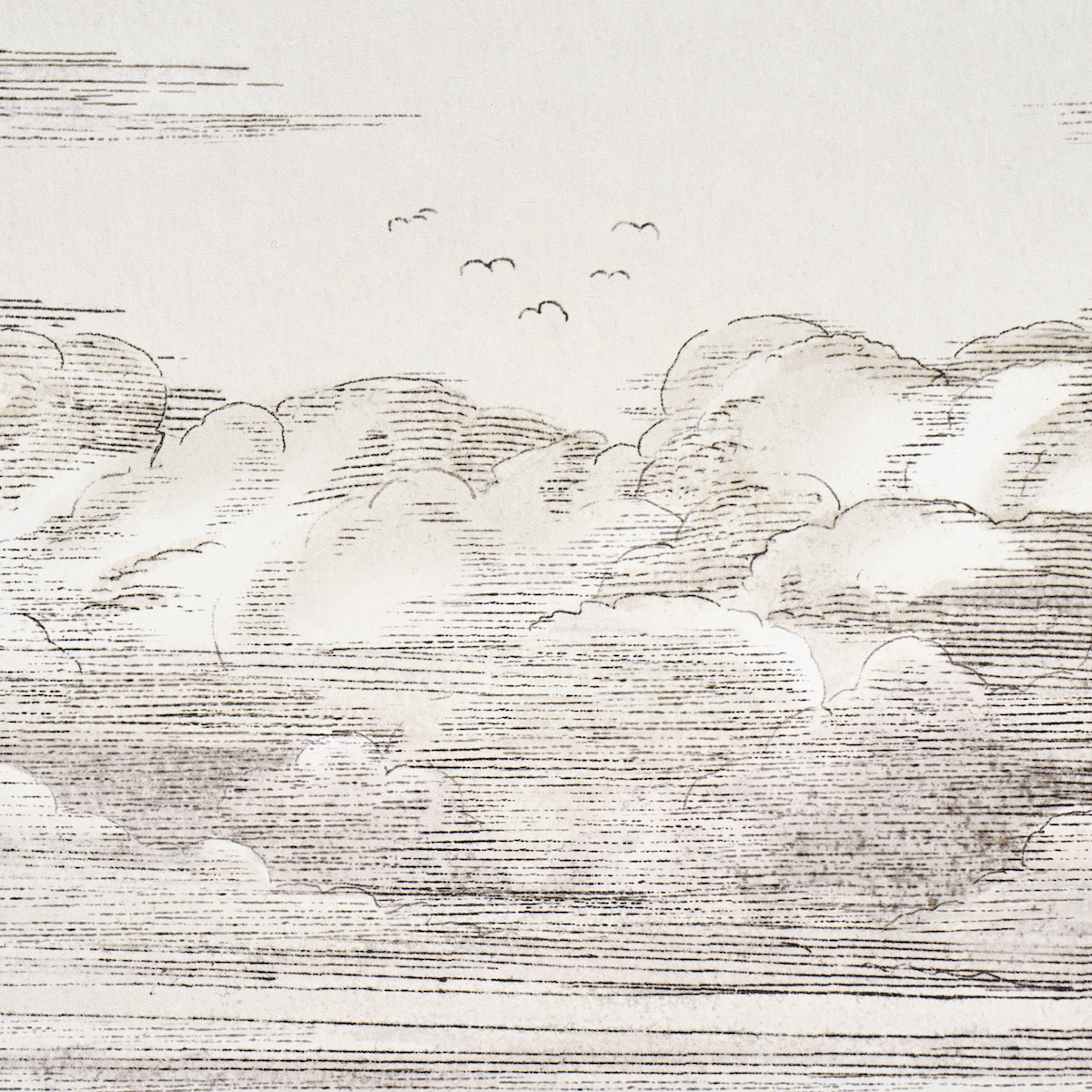 Mr. Darcy's Clouds gallery 3