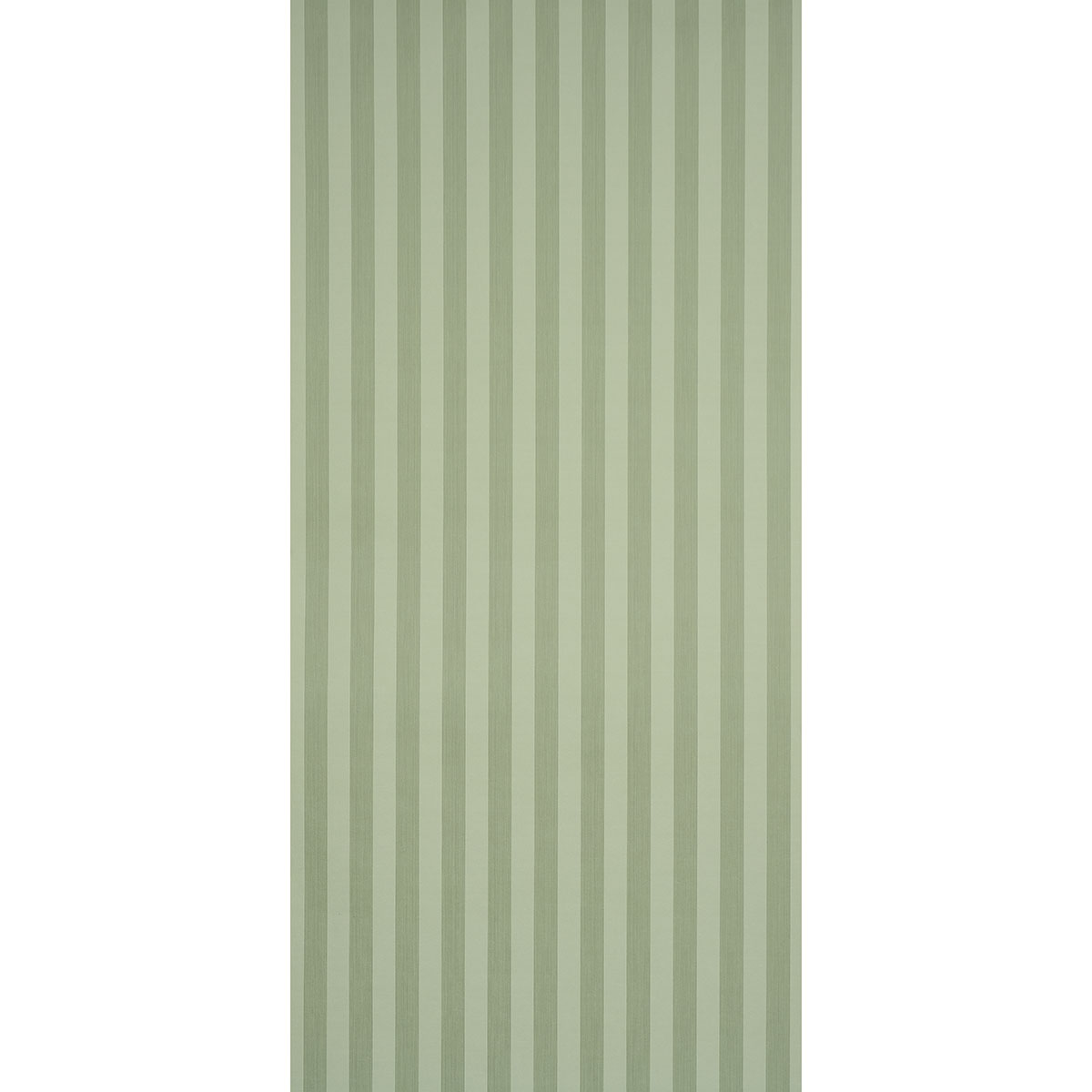 EDWIN STRIPE MEDIUM gallery 1