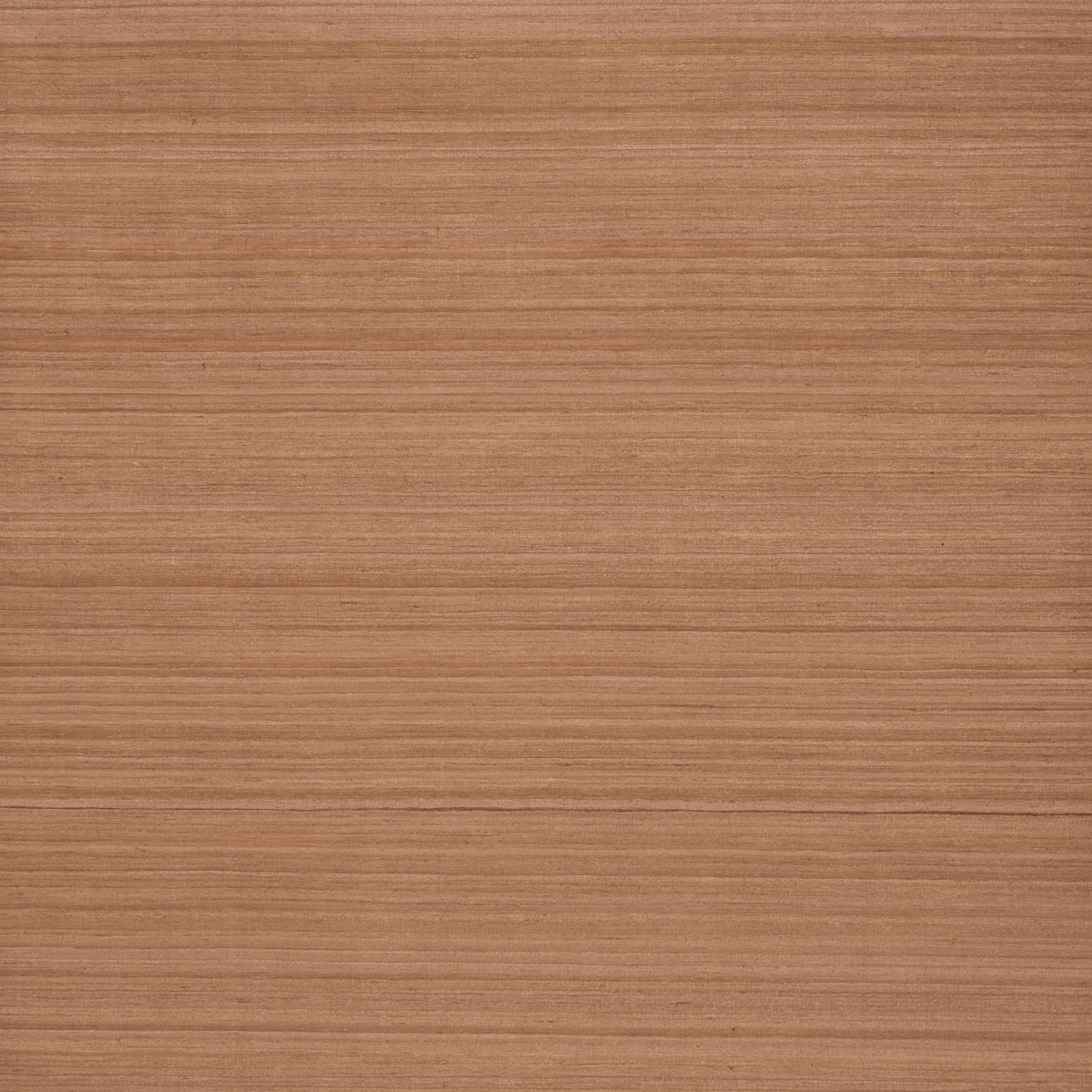 SHADED SILK wallpaper in GINGER