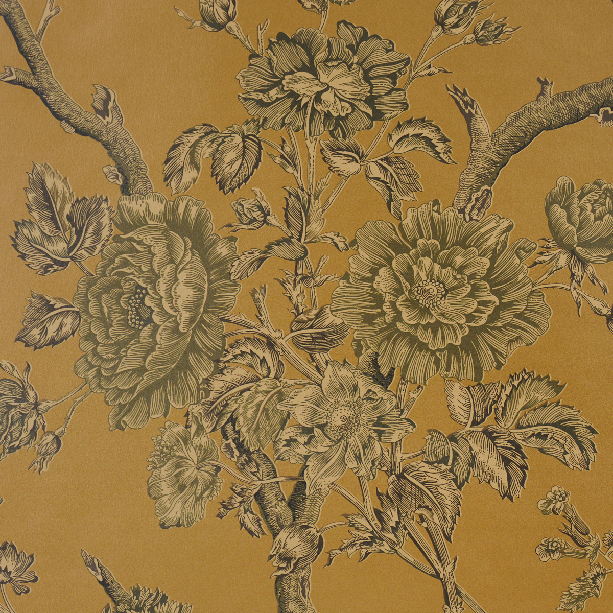 Inverness Garden gallery 2