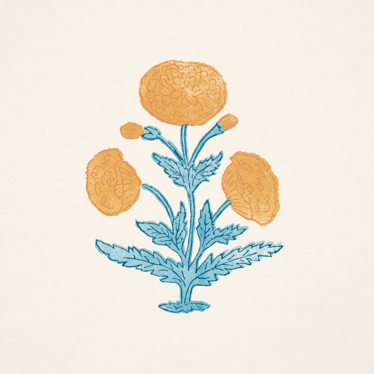 Poppy Print gallery 2